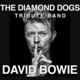 The Diamond Dogs tribute David Bowie