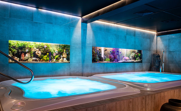 Ontspanning Wellness Thermen Dilbeek