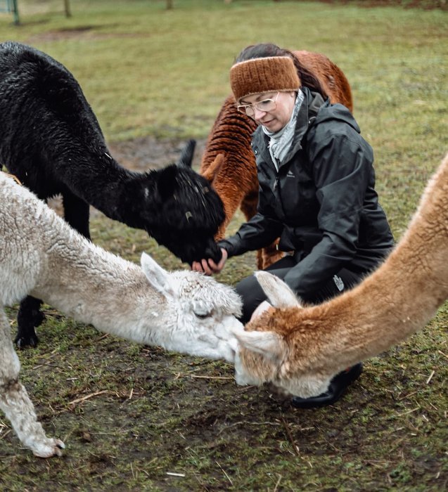 Ontspanning Alpaca Meet & Greet