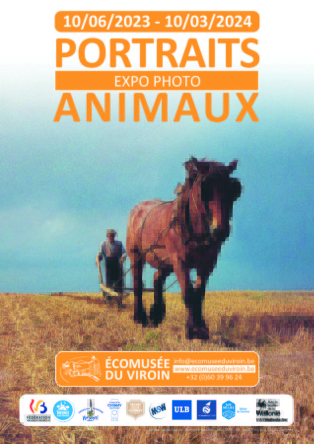 Expositions Portraits animaux - Expo photo