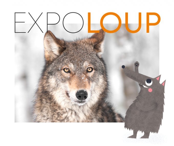 Expositions Expo Loup