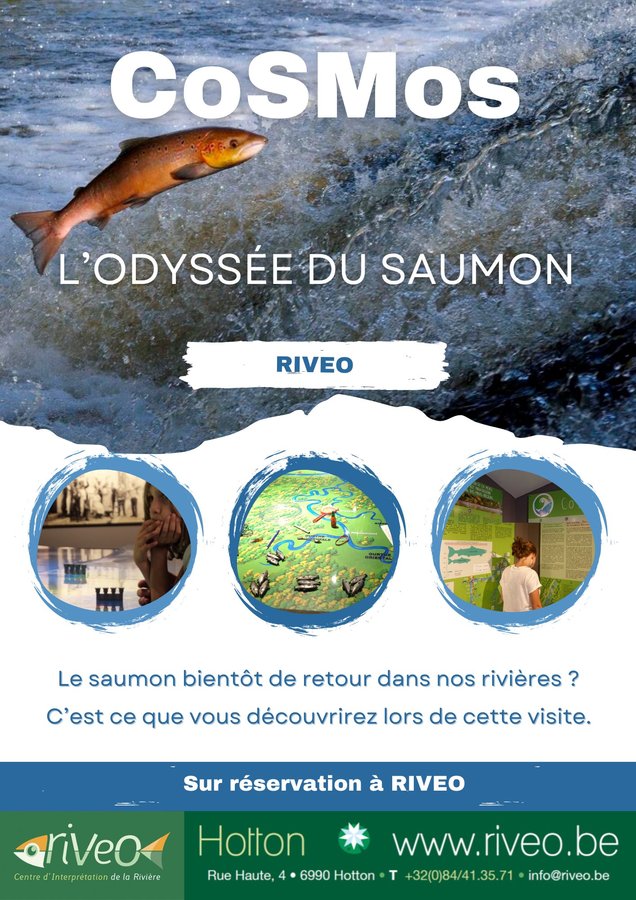 Loisirs Visite CoSMos - l Odysse saumon