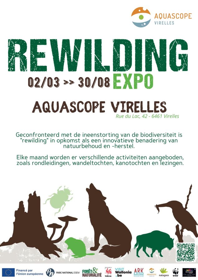 Tentoonstellingen De tentoonstelling  Rewilding 