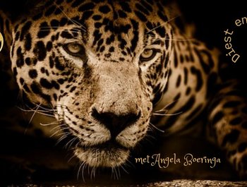 Awakening your Dancer | Movement
Medicine