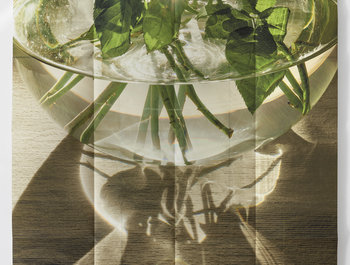 Marc De Blieck | Point de
voir