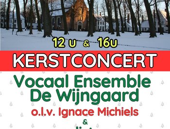Beleef de kerstmagie met een Kerstconcert
in Brugges meest sfeervol plekje 