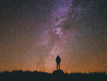 Het evolutionaire
bewustzijn