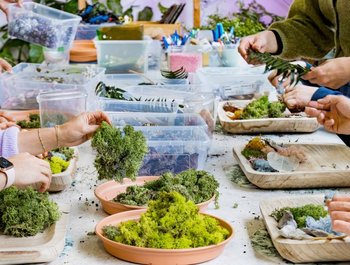 Workshop mosmuren
bouwen