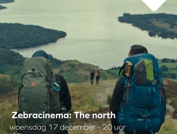 Zebracinema: The north