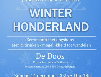 Winter Honderland