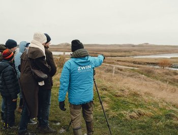 Winterwandelingen in het
Zwin