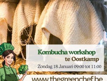 Brouw uw eigen Kombucha