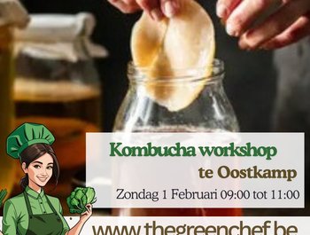 Brouw uw eigen Kombucha