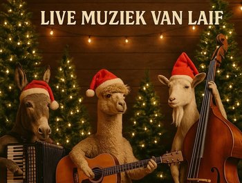 Gezellige winterbar met live kerstsongs
door Laif