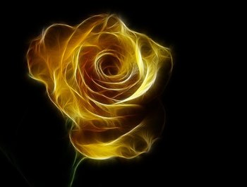 Golven van Licht, krachtcodes van
vernieuwing.