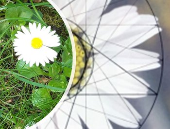 Leergang Heilige
Geometrie