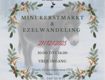 Kerstmarktje op De
Kampenhoeve