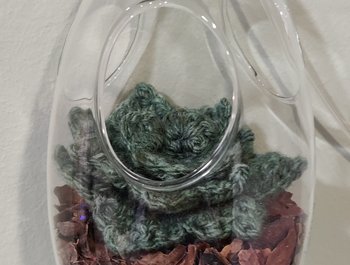 Vetplantjes / hangplantjes
haken