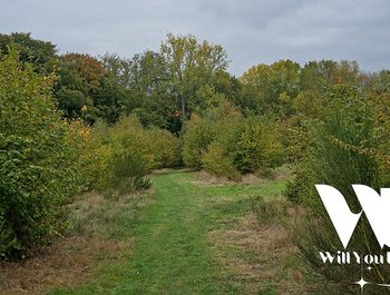 Kampveld Singles
Wandeling