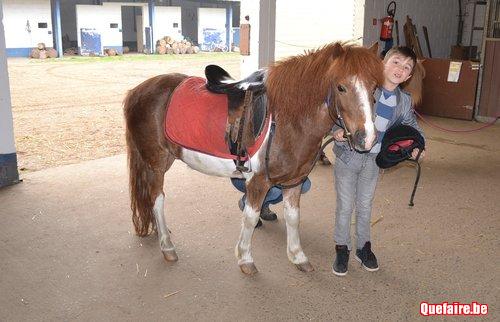 feter son anniversaire dans un centre equestre Fete D Anniversaire Dans Un Centre Equestre A 10km De Mons feter son anniversaire dans un centre equestre