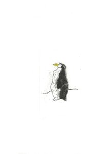 Expositions Un drle pingouin