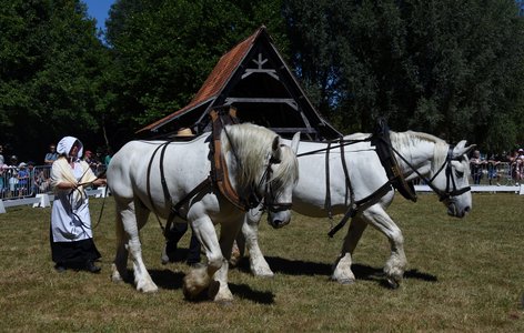 Expositions Les amis cheval