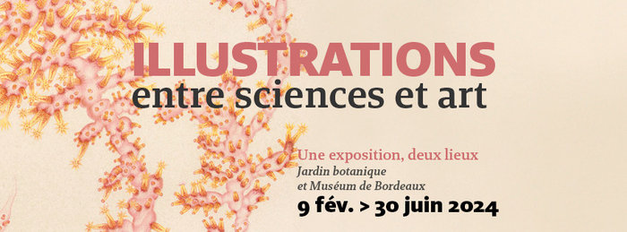 Expositions ILLUSTRATIONS, entre sciences art